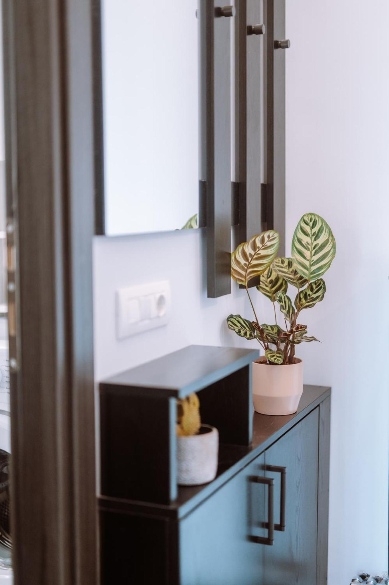 Louisa Luxury Apartments プレベザ エクステリア 写真